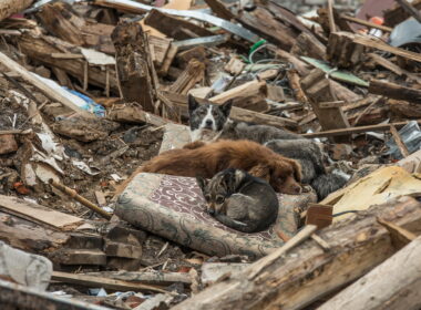 Fot. Oleksandr Ratushniak / UNDP Ukraine