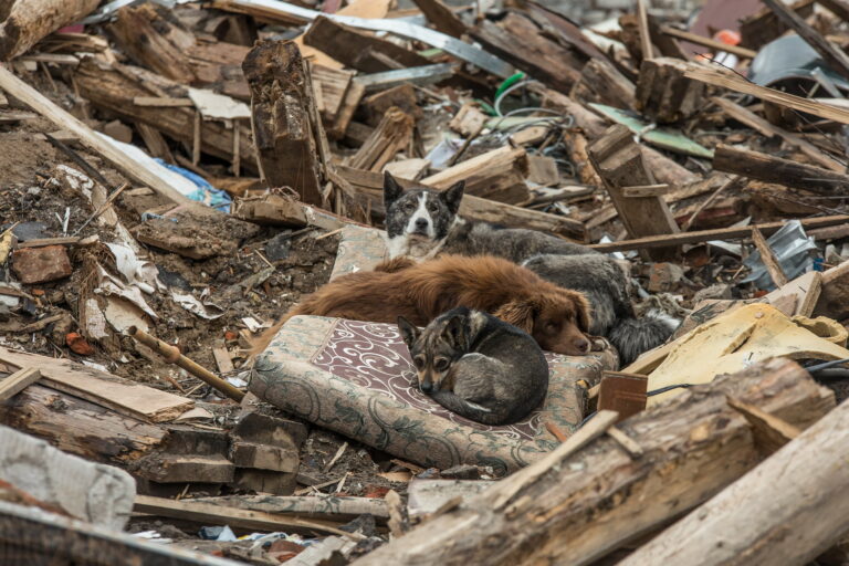 Fot. Oleksandr Ratushniak / UNDP Ukraine
