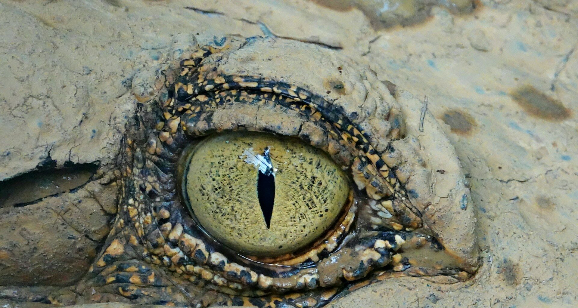 Fot. James Lo / Unsplash