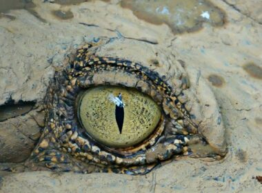 Fot. James Lo / Unsplash