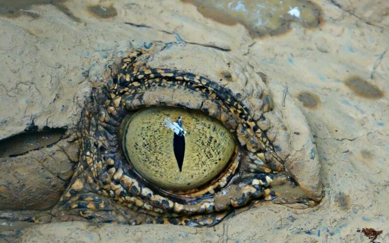 Fot. James Lo / Unsplash