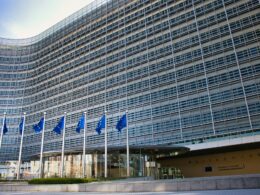 Fot. Paws and Prints / Unsplash