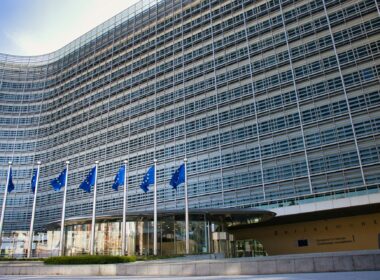 Fot. Paws and Prints / Unsplash