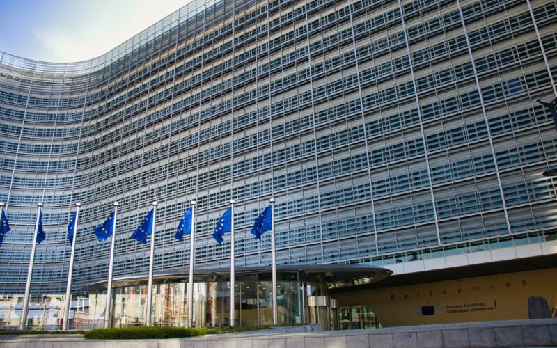 Fot. Paws and Prints / Unsplash