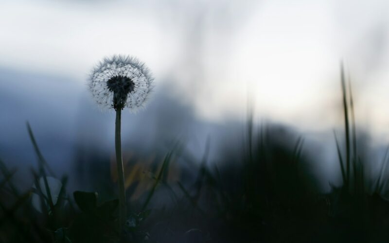 Fot. Andre Taissin / Unsplash