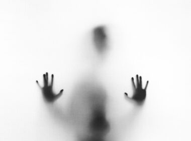 Fot. Stefano Pollio / Unsplash