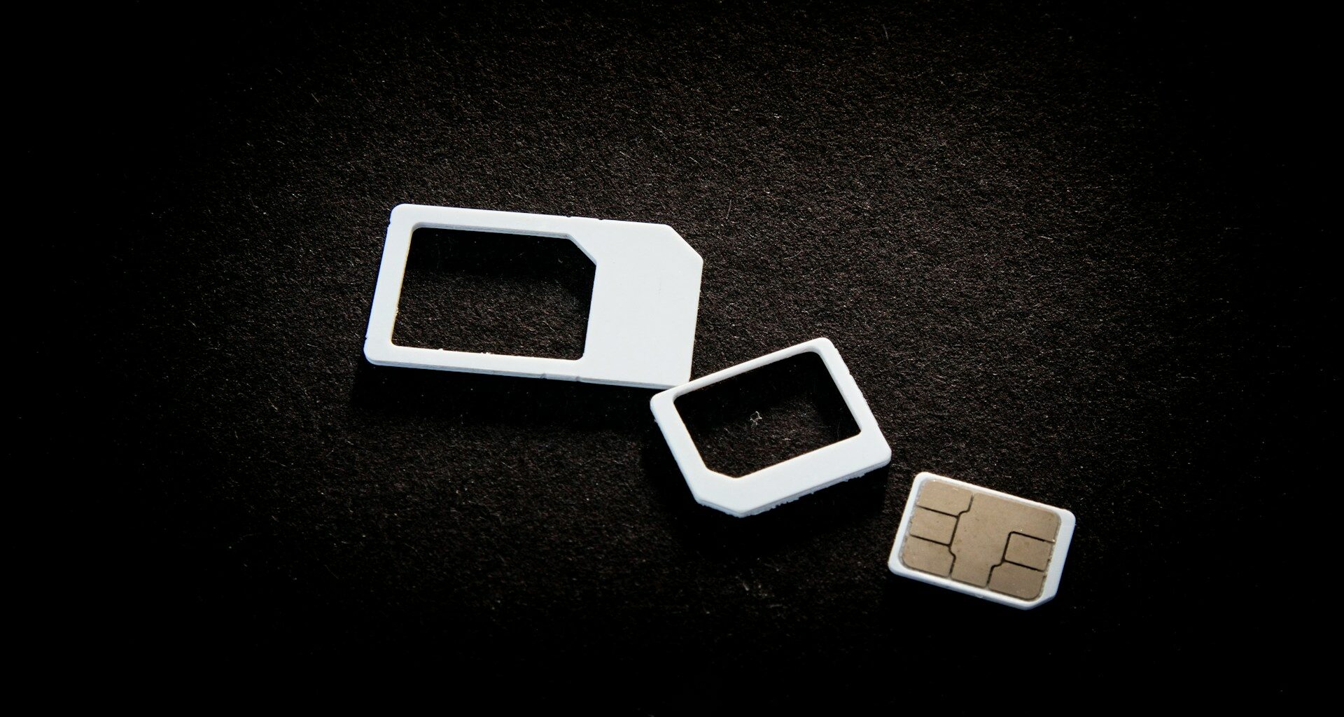 Fot. User Pascal / Unsplash