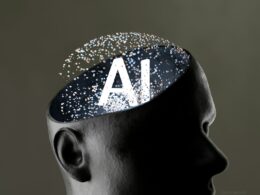 Fot. Zach M / Unsplash