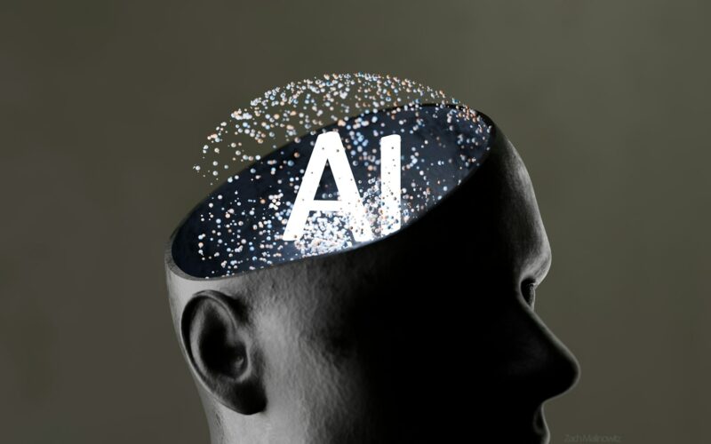 Fot. Zach M / Unsplash